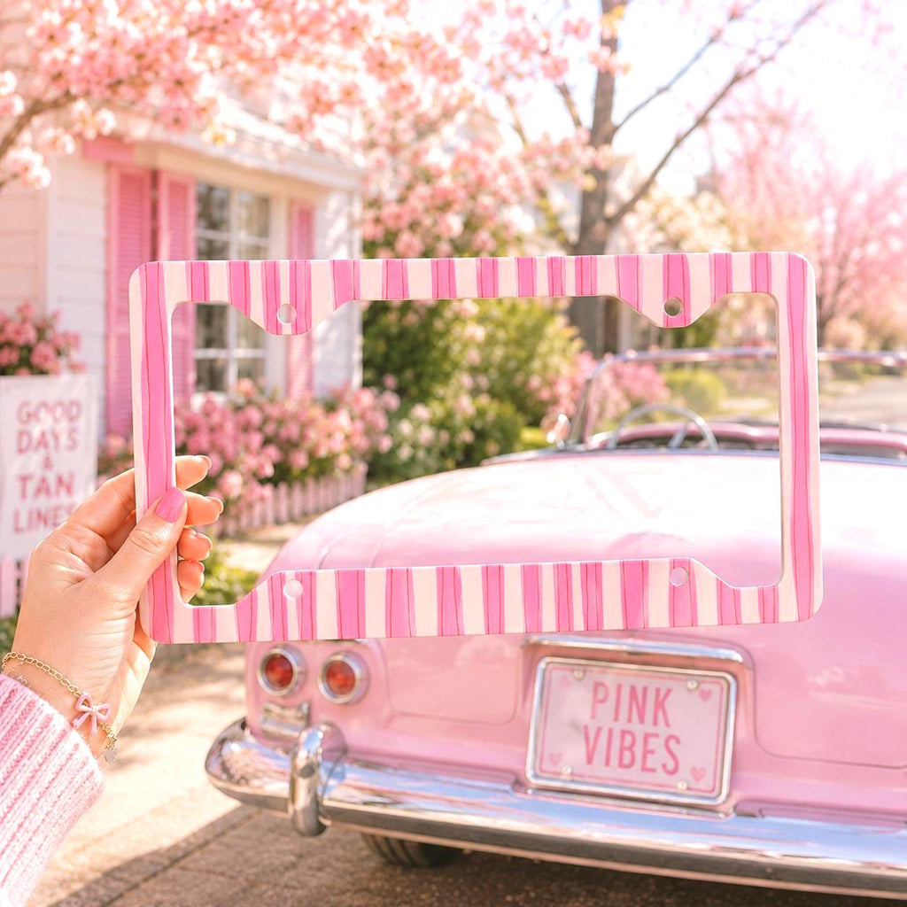 Pink Coquette Stripe License Plate Frame Etsy photo 1