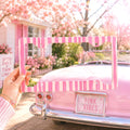 Pink Coquette Stripe License Plate Frame Etsy photo 1