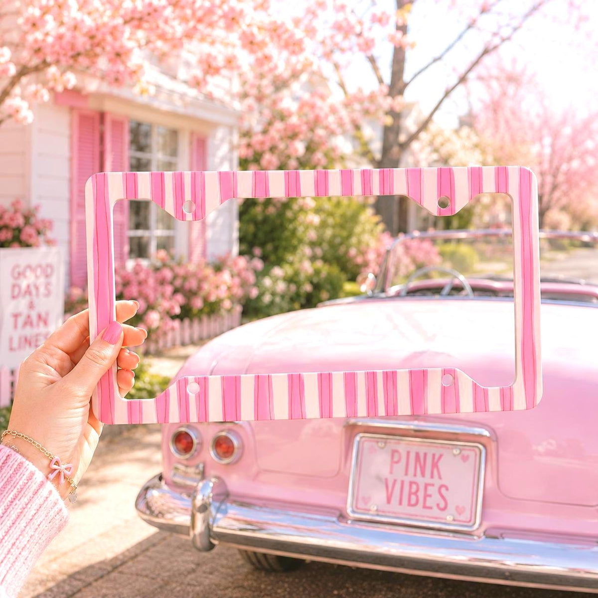 Pink Coquette Stripe License Plate Frame Etsy photo 1